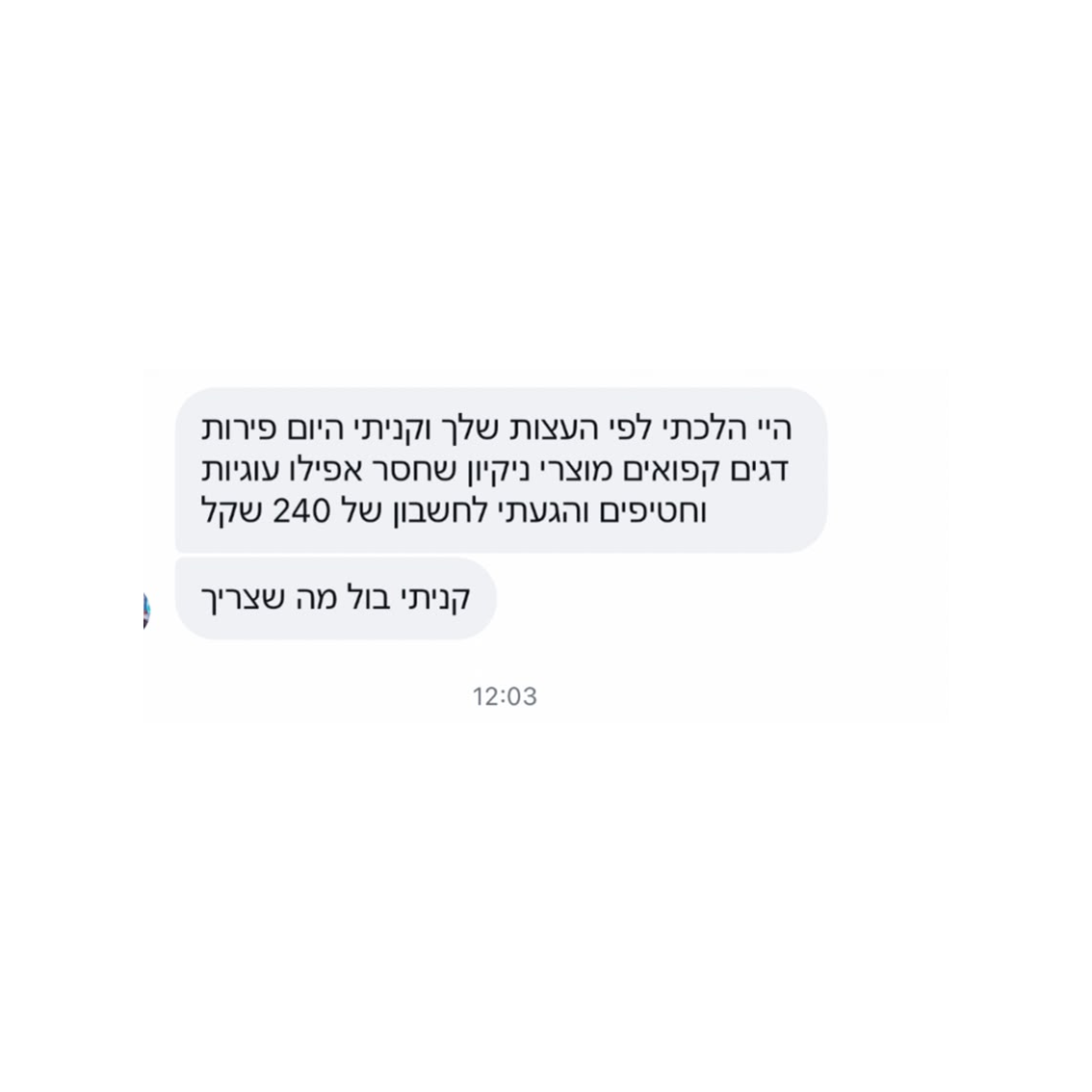 המלצה 4